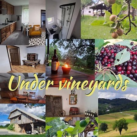 Apartmán Pod Vinogradi Skocjan  Exteriér fotografie