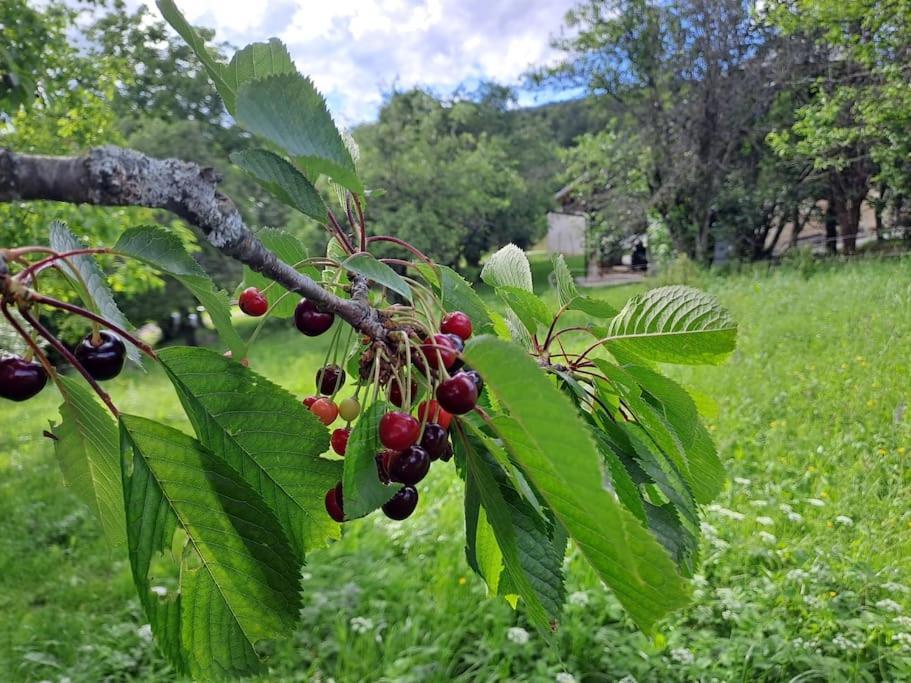 Apartmán Pod Vinogradi Skocjan  Exteriér fotografie