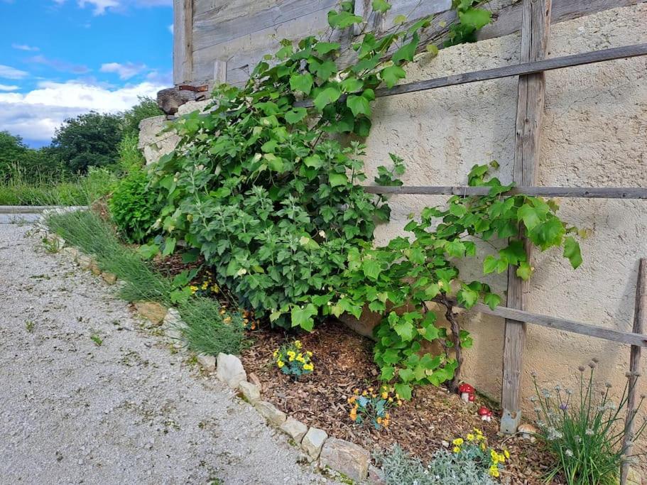 Apartmán Pod Vinogradi Skocjan  Exteriér fotografie