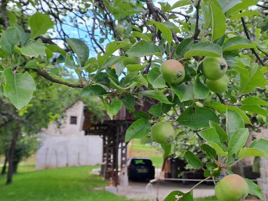 Apartmán Pod Vinogradi Skocjan  Exteriér fotografie