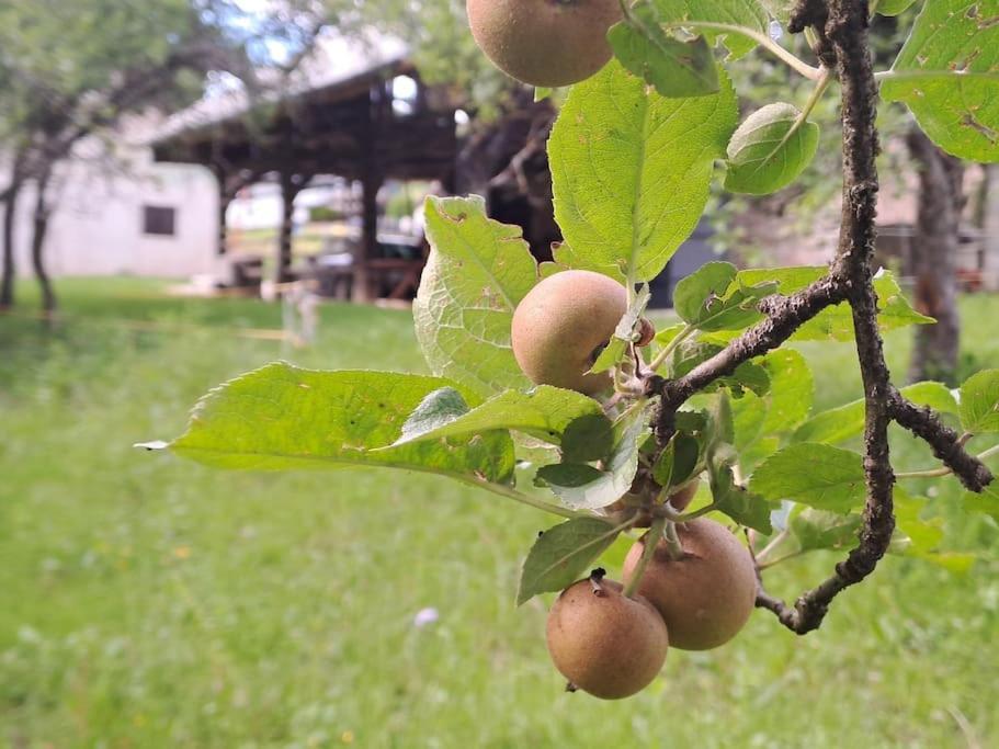 Apartmán Pod Vinogradi Skocjan  Exteriér fotografie