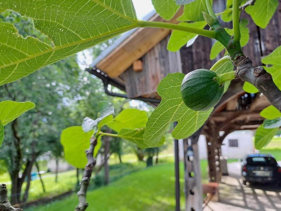 Apartmán Pod Vinogradi Skocjan  Exteriér fotografie